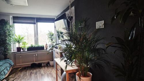 Foto - 1 Zimmer Erdgeschoßwohnung zur Miete in Wilhelmshaven