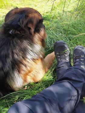 Foto - Ferienhaus in der Eifel Urlaub mit Hund