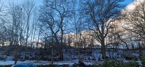 Foto - 3 Zimmer Bauernhaus, Landhaus in Sonnenstein