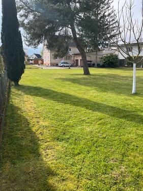 Foto - 7 Zimmer Einfamilienhaus zum Kaufen in Rheinau