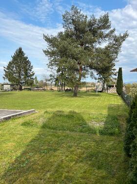 Foto - 7 Zimmer Einfamilienhaus in Rheinau