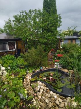 Foto - Garten Mühlhausen Sambach neu e.V.