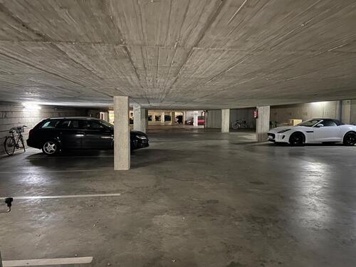 Foto - andere in Bonn