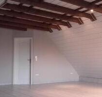 Großraum Apartment direkt am Naherholungsgebiet gelegen! - Langenfeld (Rheinland)