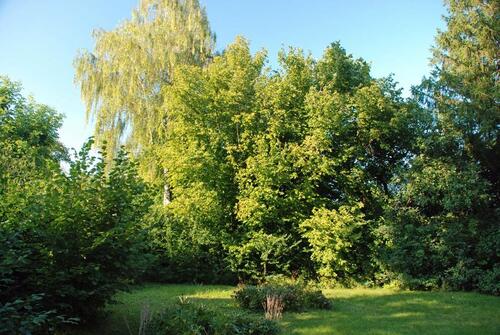 Foto - 