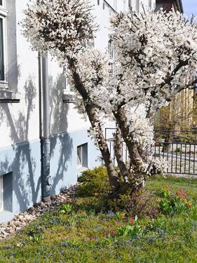 Foto - 2 Zimmer Dachgeschoßwohnung in Grimma