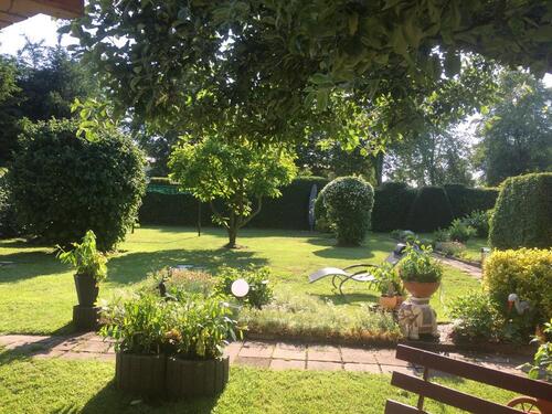 Foto - Garten Grundstück mit knapp 1.000 qm am Stadtpark