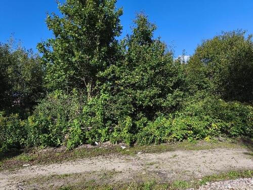 Foto - andere in Kempen zur Miete