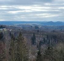 Lebensabend auf kleinen Bauernhof in schöner Landschaft? - Sebnitz
