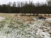 Foto - Etagenwohnung in Sonnenstein zum Kaufen