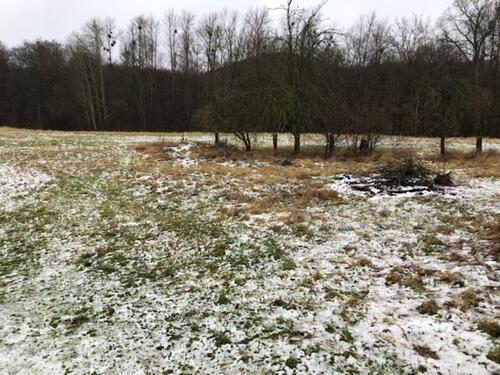 Foto - Etagenwohnung in Sonnenstein zum Kaufen