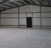 Stellplatz PKW Oldtimer - 120,00&nbsp;EUR Miete, in Hamm am Rhein (PLZ: 67580)