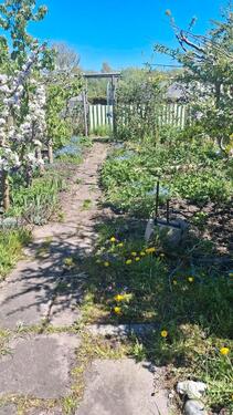 Foto - Kleingarten Parzelle Garten im KGV Travetal zu sofort abzugeben