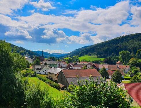 Foto - Wohnung mit Traumhafter Aussicht in Hettigenbeuern Nähe Mudau.