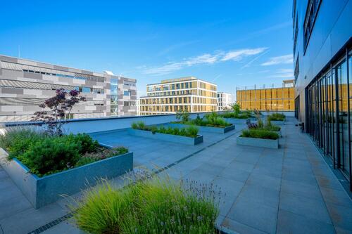 Foto - andere in Monheim am Rhein zur Miete