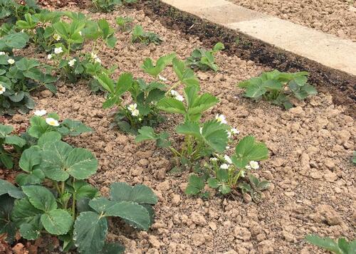 Foto - Grundstück in Neuhausen auf den Fildern