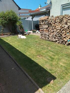 Foto - Einfamilienhaus zum Kaufen in Scheer