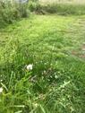 Foto - andere zur Miete in Homberg (Ohm)