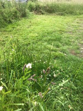 Foto - andere zur Miete in Homberg (Ohm)
