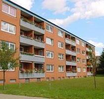 2,5-Zi.-Wohnung mit Balkon, frisch saniert - Geesthacht