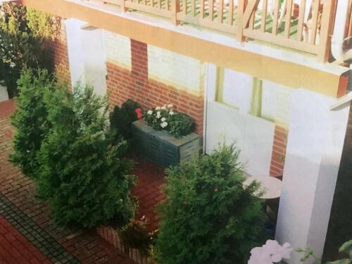 Foto - Terrassenwohnung in träumerischer Umgebung