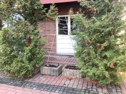 Foto - Etagenwohnung in Chemnitz zur Miete