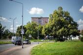 Foto - Etagenwohnung in Dessau-Roßlau zur Miete
