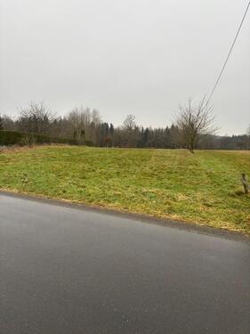 Foto - Großzügiges Baugrundstück in Malberg (Eifel) – voll erschlossen