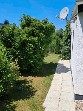 Foto - Top gepflegter Kleingarten Pachtgarten Garten