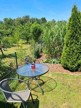 Foto - Grundst&uuml;ck in Bad Düben