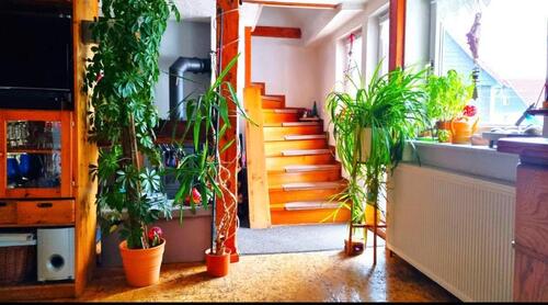 Foto - 5ZKB Wohnung in Röddenau ab 1.1.26