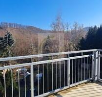 Sonnenschein zum Feierabend - 349,00&nbsp;EUR Kaltmiete, ca.&nbsp; 50,00&nbsp;m&sup2; in Wilkau-Haßlau (PLZ: 08112)