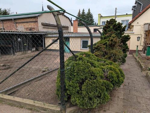 Foto - Einfamilienhaus in Südliches Anhalt zum Kaufen