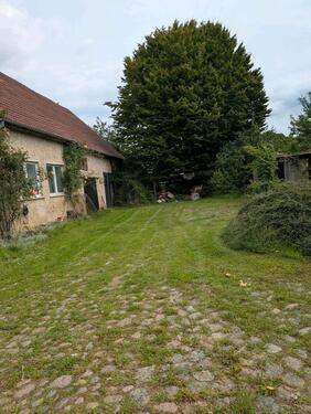 Foto - Einfamilienhaus zum Kaufen in Grabowhöfe