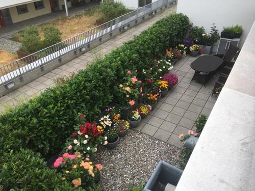 Foto - 3 Zimmer Etagenwohnung zur Miete in Stralsund