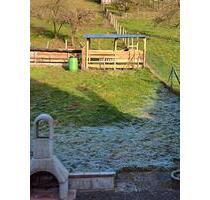 Wohnung zu vermieten - 1.300,00&nbsp;EUR Kaltmiete, ca.&nbsp; 100,00&nbsp;m&sup2; in Polle (PLZ: 37647)