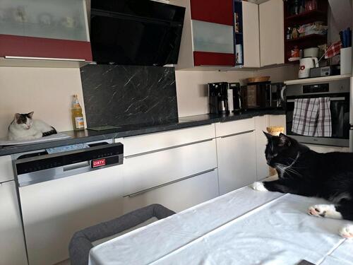 Foto - 4 Zimmer Hochparterre in Polle