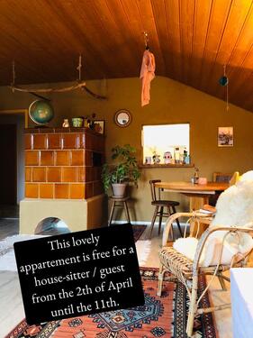 Foto - Wohnung appartement- Untervermietung 313 bis 104