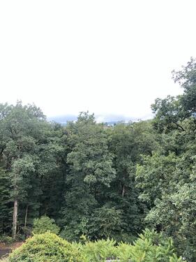 Foto - 4 Zimmer Etagenwohnung zur Miete in Königstein im Taunus