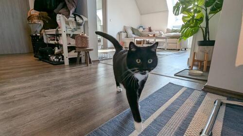 Foto - TOP-Energie* Gemütliche Wohnung am See