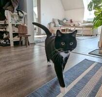 TOP-Energie* Gemütliche Wohnung am See - Bodenwöhr