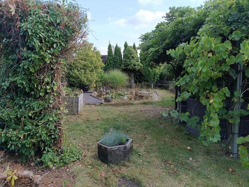 Foto - Einfamilienhaus zum Kaufen in Leipzig