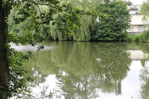 Foto - 3 Zimmer Etagenwohnung in Siegen