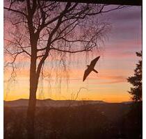 Interessante KAPITALANLAGE, Enormes Potenzial und Möglichkeiten - Oberndorf am Neckar