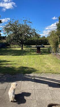 Foto - 3 Zimmer Bungalow zum Kaufen in Lübeck