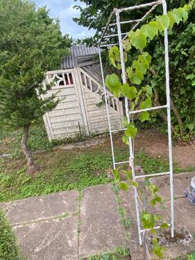 Foto - Grundstück in Kassel zur Miete