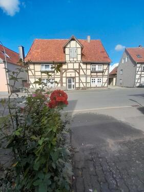 Foto - Monteurzimmer, Ferienwohnung am Twistesee, Urlaub mit Hund