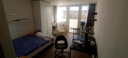 Foto - Wohnung zu vermieten - 550,00&nbsp;EUR Kaltmiete, ca.&nbsp; 24,00&nbsp;m&sup2;