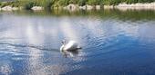 Foto - Mietwohnung - 1.100,00 EUR Kaltmiete,