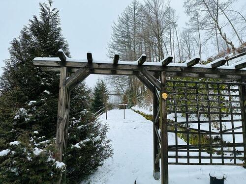 Foto - Mehrfamilienhaus, Wohnhaus in Steinach zum Kaufen
